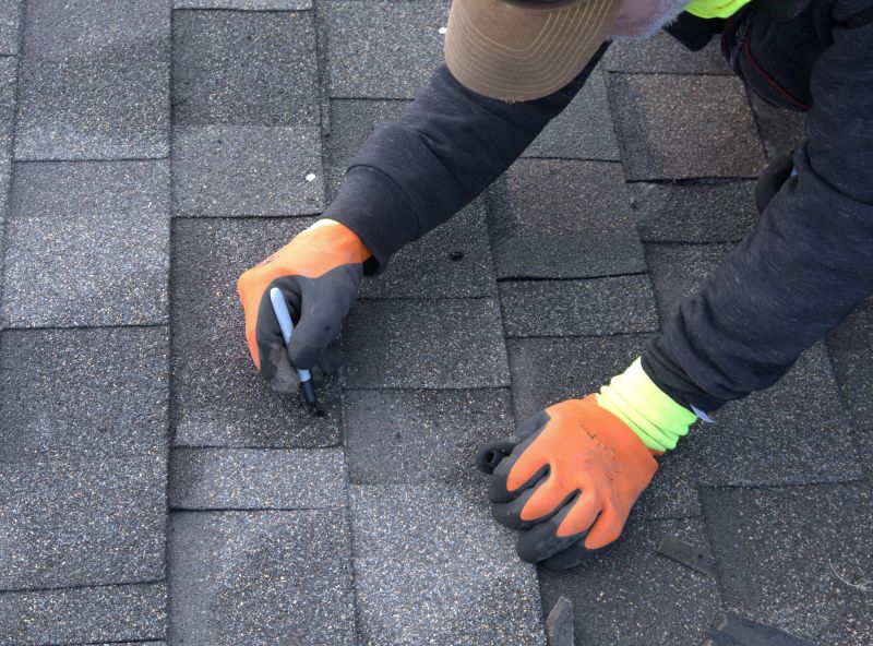 Repaired Asphalt Roof Section