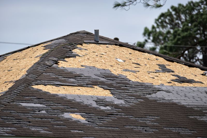Roof Inspection for Damage