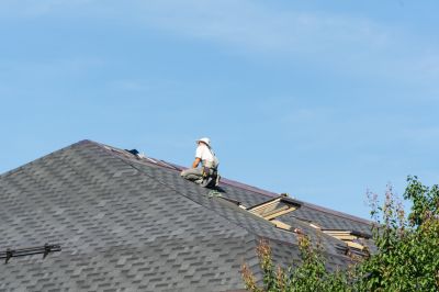 Asphalt Shingle Repair Expert